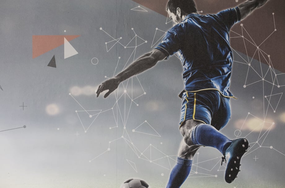 Summer Fields sports large format entrance wall art