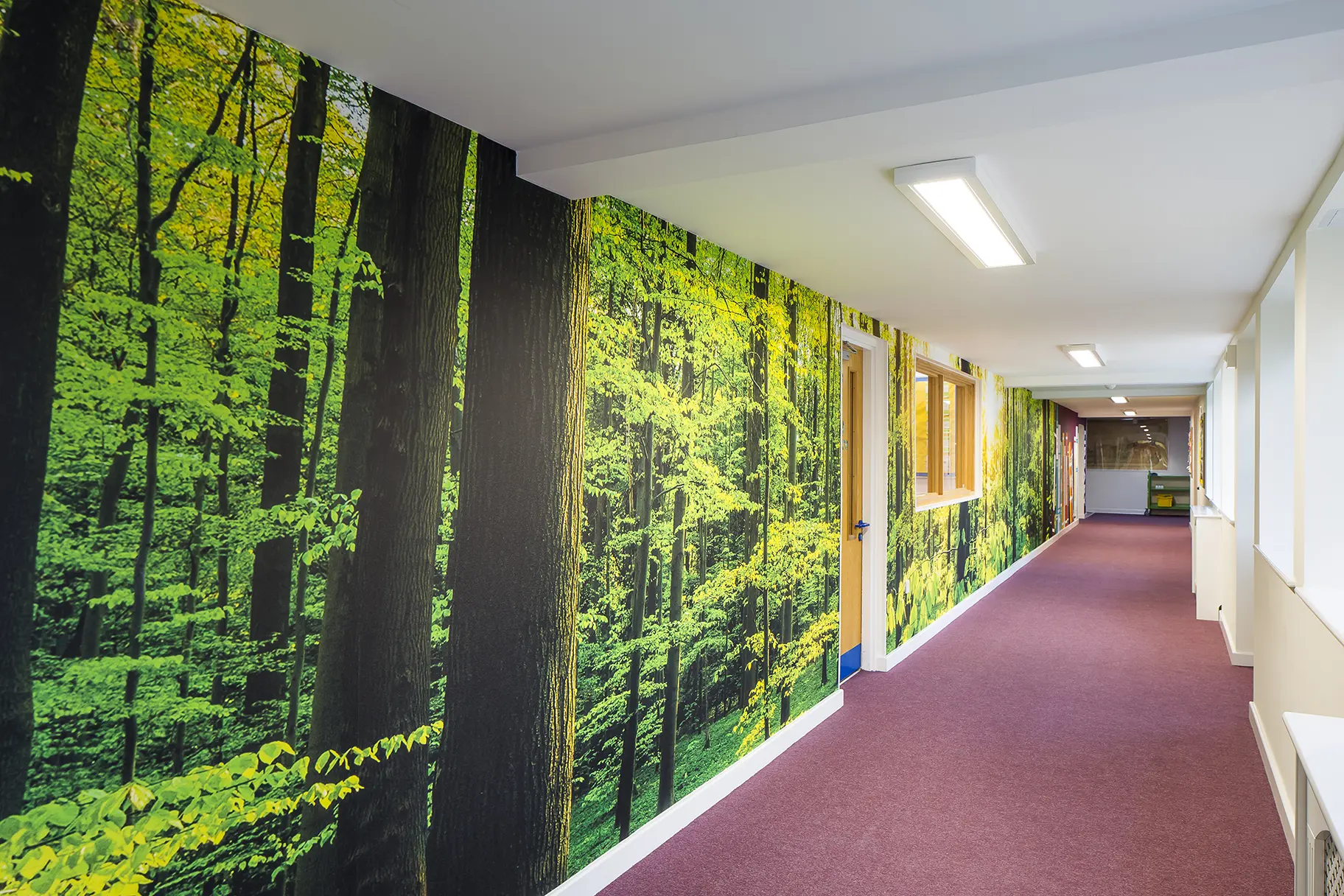 Countess Anne School Library Corridor Art