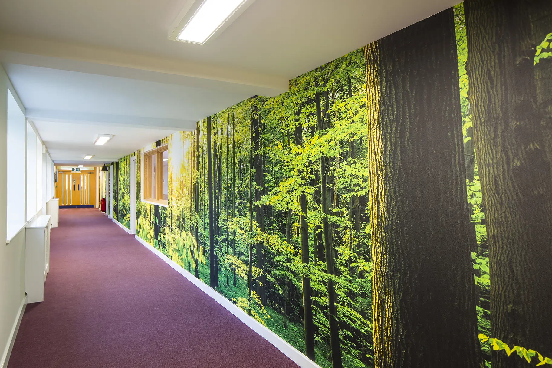 Countess Anne School Library Corridor Art