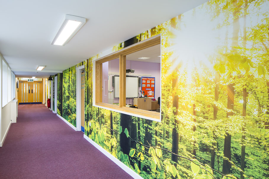 Countess Anne Wall Art