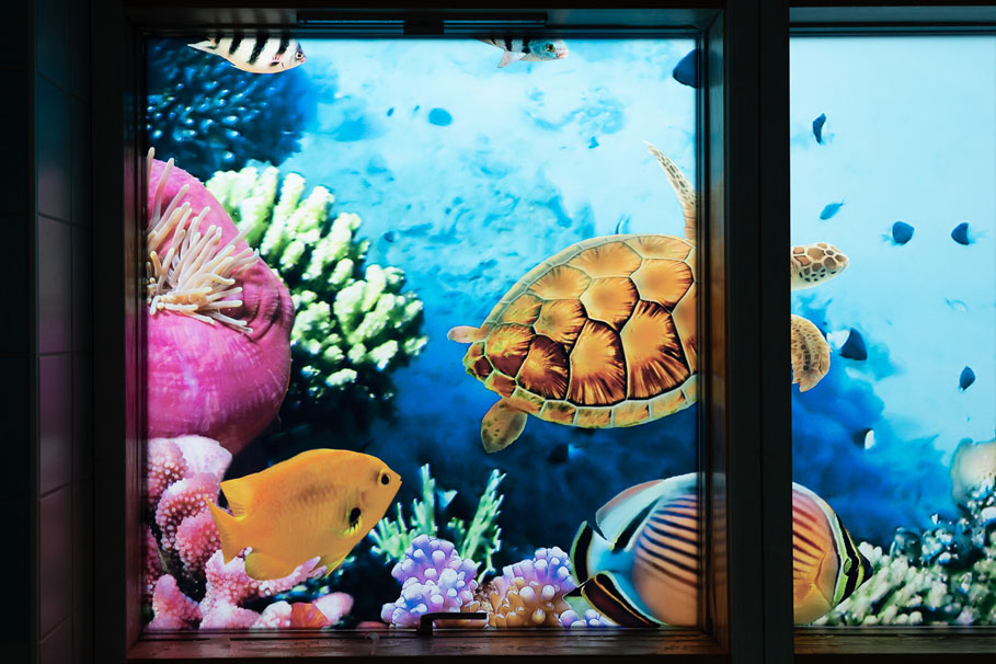 The wyvern pool window vinyl 4