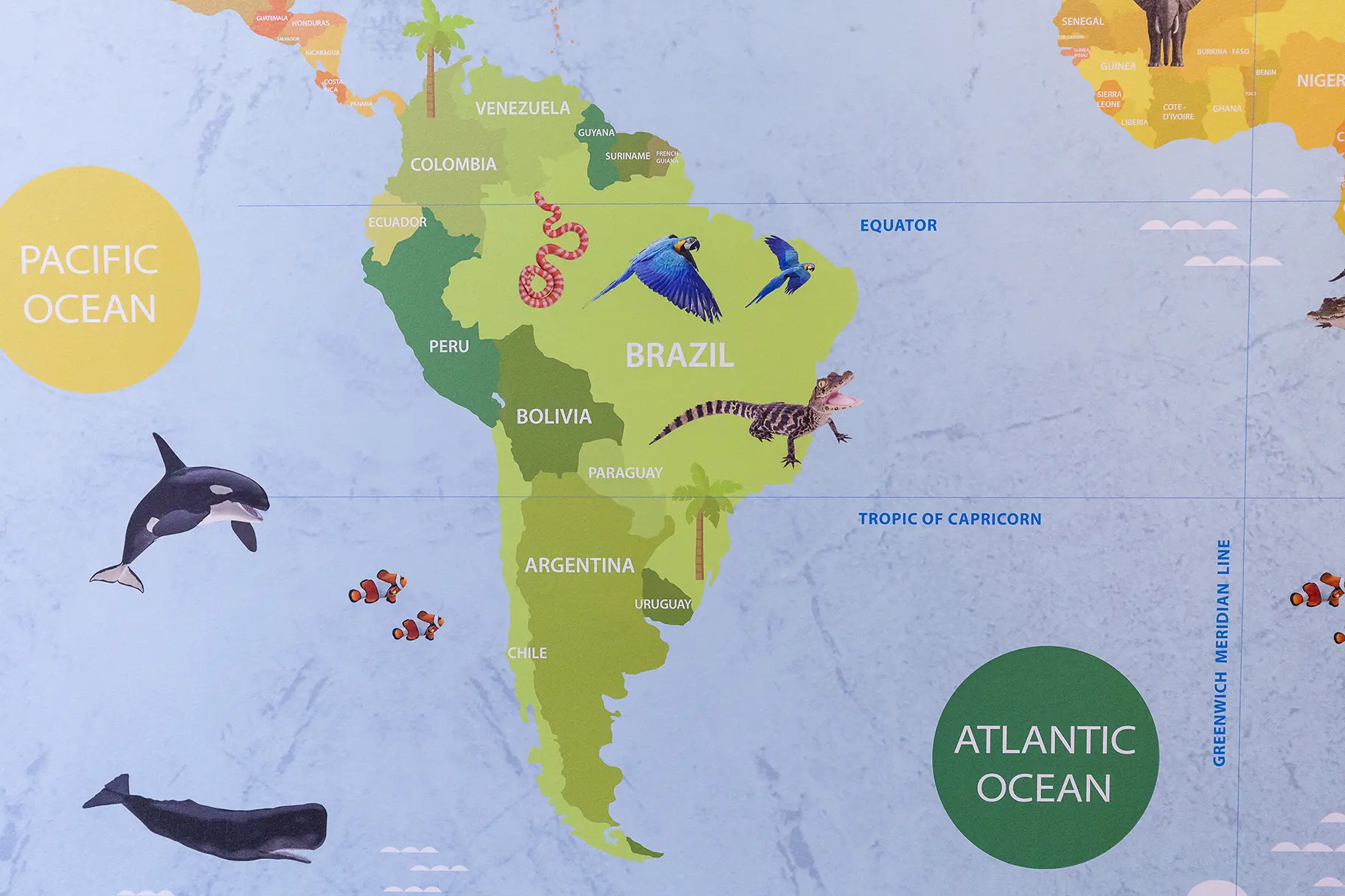 PYS Buckingham Park Primary School world map wall