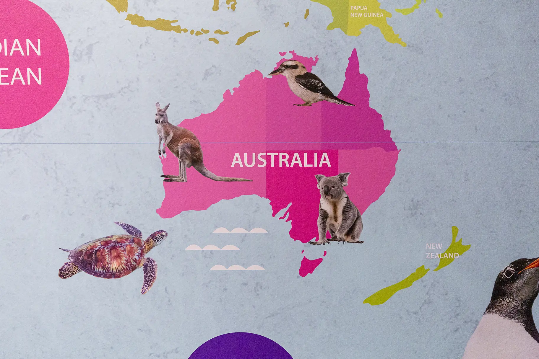 PYS Buckingham Park Primary School world map wall