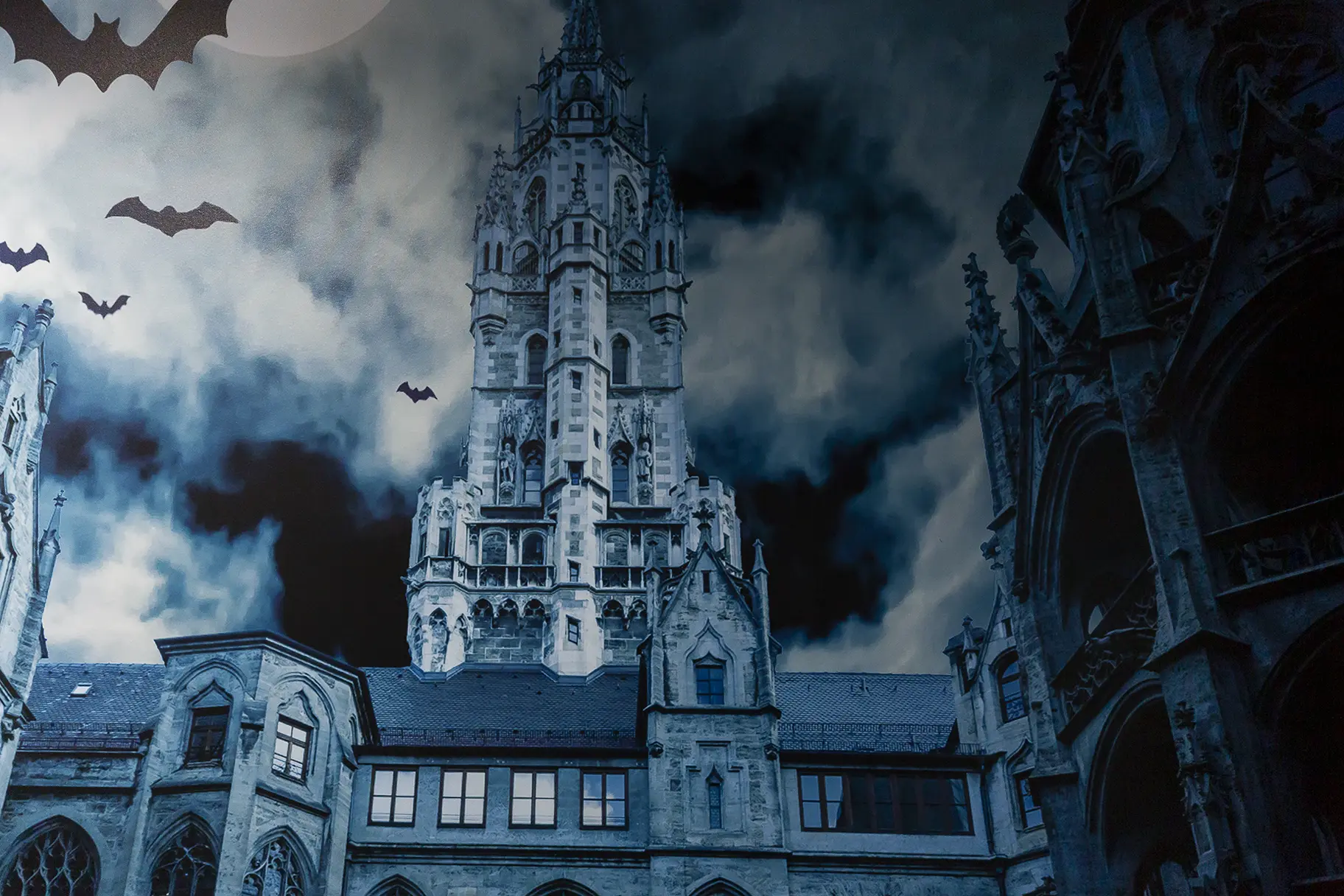 Torquay Academy English Must Read Books