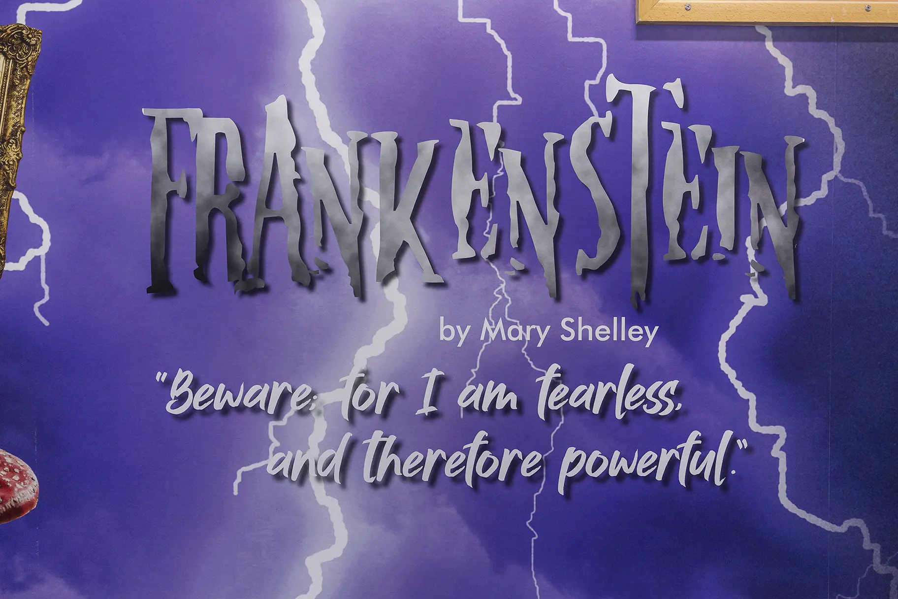 Fulham Cross Boys School Library Wall