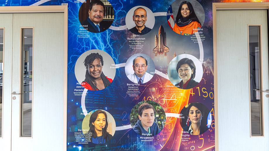 North london collegiate school singapore science wall art