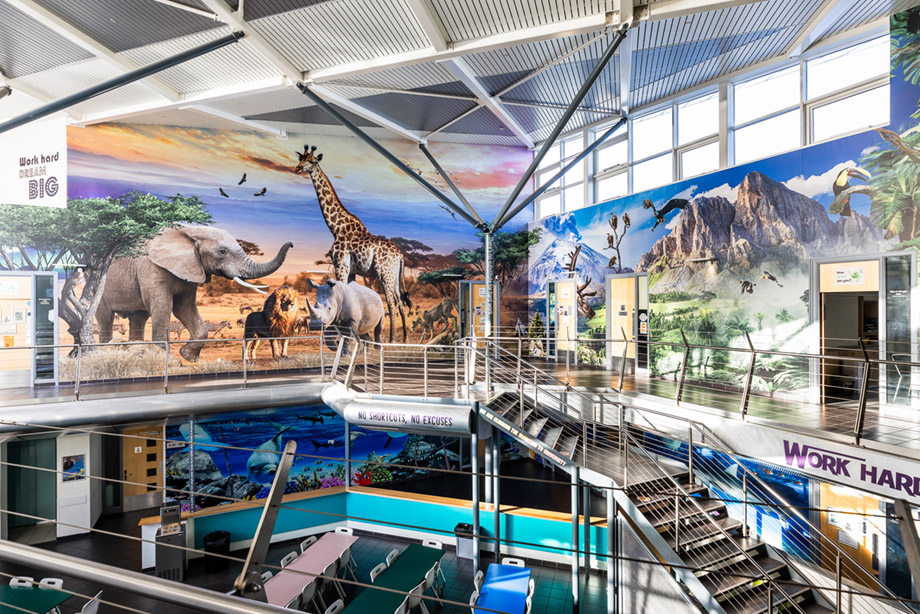 Torquay academy atrium nature wall art