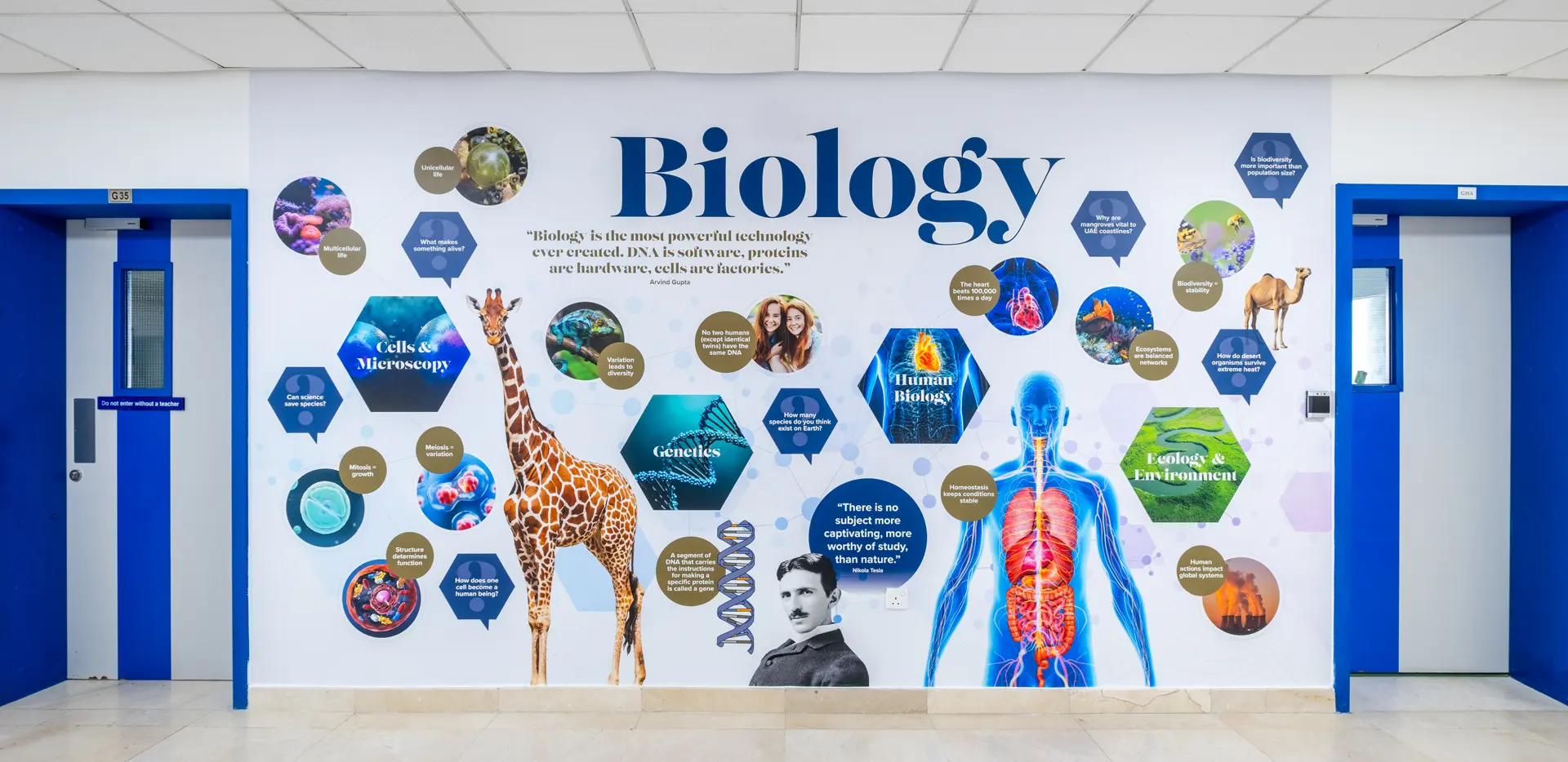 Repton school dubai bioolgy wall art